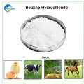 China Proveedores Alibaba Best Sellers Betaine Hcl